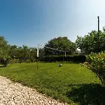 Danijela